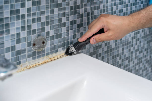 Best Industrial Mold Remediation in Trabuco Nyon, CA